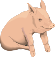 animals & pig free transparent png image.