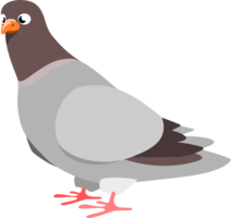 animals & pigeon free transparent png image.