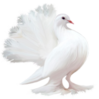 animals & Pigeon free transparent png image.