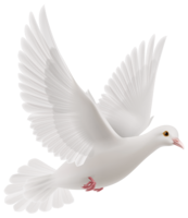 animals & pigeon free transparent png image.