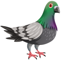 animals & Pigeon free transparent png image.