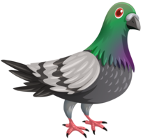 animals & pigeon free transparent png image.