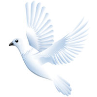 animals & Pigeon free transparent png image.