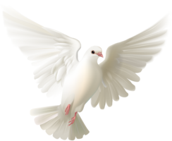 animals & Pigeon free transparent png image.