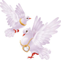 animals & Pigeon free transparent png image.