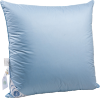 furniture & Pillow free transparent png image.