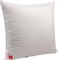 furniture & Pillow free transparent png image.