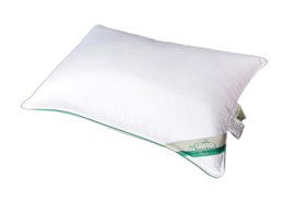 furniture & Pillow free transparent png image.