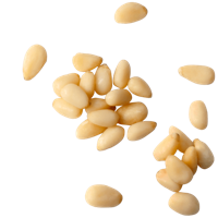 fruits & pine nuts free transparent png image.