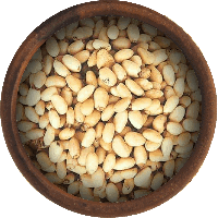 fruits & Pine nuts free transparent png image.