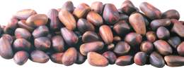 fruits & Pine nuts free transparent png image.