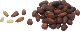 fruits & pine nuts free transparent png image.