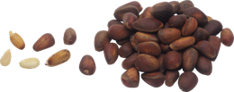 fruits & Pine nuts free transparent png image.