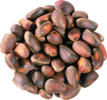 fruits & Pine nuts free transparent png image.