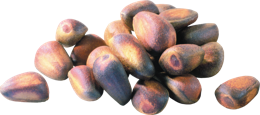 fruits & pine nuts free transparent png image.