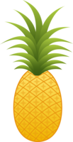 fruits & Pineapple free transparent png image.