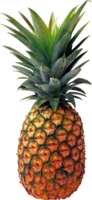 fruits & pineapple free transparent png image.