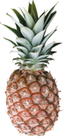 fruits & Pineapple free transparent png image.