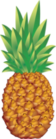 fruits & Pineapple free transparent png image.