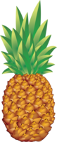 fruits & pineapple free transparent png image.