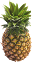 fruits & pineapple free transparent png image.