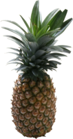 fruits & pineapple free transparent png image.