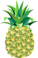 fruits & Pineapple free transparent png image.