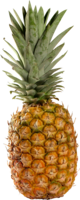 fruits & Pineapple free transparent png image.