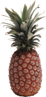 fruits & Pineapple free transparent png image.