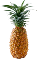 fruits & Pineapple free transparent png image.