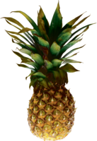 fruits & Pineapple free transparent png image.