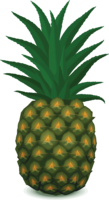 fruits & pineapple free transparent png image.