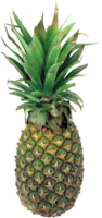 fruits & Pineapple free transparent png image.