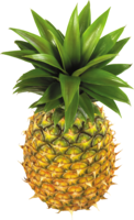 fruits & pineapple free transparent png image.