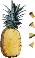 fruits & pineapple free transparent png image.