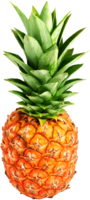 fruits & Pineapple free transparent png image.