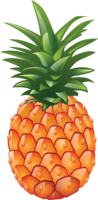fruits & pineapple free transparent png image.