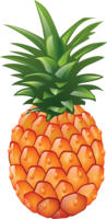 fruits & Pineapple free transparent png image.