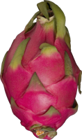 fruits & pitaya free transparent png image.