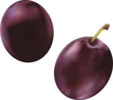 fruits & Plum free transparent png image.