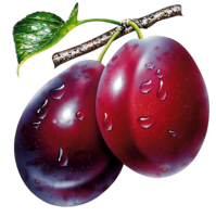 fruits & plum free transparent png image.