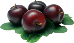 fruits & Plum free transparent png image.