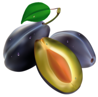 fruits & Plum free transparent png image.