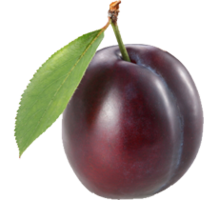 fruits & plum free transparent png image.