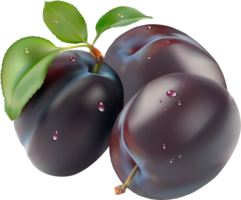 fruits & plum free transparent png image.