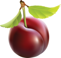 fruits & Plum free transparent png image.