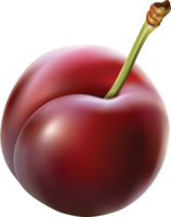 fruits & plum free transparent png image.