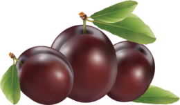 fruits & plum free transparent png image.