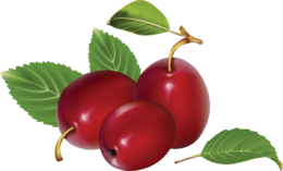 fruits & Plum free transparent png image.