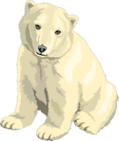 animals & Polar bear free transparent png image.